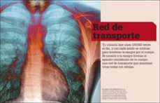 ¡increible pero cierto¡ cuerpo humano-9780241559703