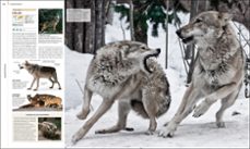 animal-9780241643013
