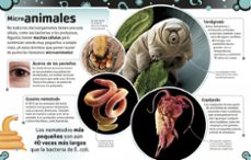 el libro de las bacterias-steve mould-9780241366714