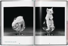 walter chandoha. cats. photographs-susan michals-9783836595315