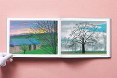 david hockney. 220 for 2020-david hockney-9783836599115