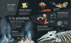 la vida secreta de los oceanos-jess french-9780241538128