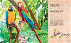 la vida secreta de las aves-david lindo-9780241583357