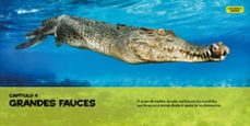 mi primer gran libro de reptiles y anfibios-catherine d. hughes-9788482987958