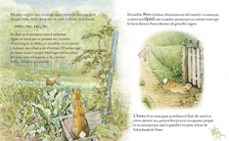 el conte d en pere el conillet. 120 aniversari-beatrix potter-9788448861865