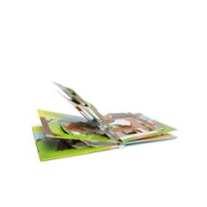 los tres cerditos-angelika scudamore-9788418817670