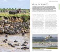 kenia 2019 (guia visual)-9780241383773