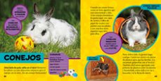 mi primer gran libro de las mascotas-catherine d. hughes-9788482987774