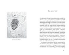Imagen Secuandaria de El año del Mono. Abrir galería completa.