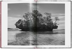 genesis salgado (ed. bolsillo castellano)-sebastian salgado-9783836594585