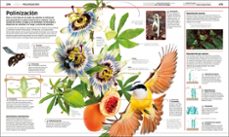 ciencia: la ciencia como nunca antes la habias visto-9780241382387