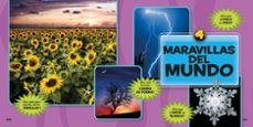 mi primer gran libro de los ¿por que?-amy shields-9788482985688
