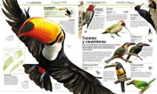 animales: el reino animal como nunca antes lo habias visto con increibles ilustraciones 3d-9780241300992