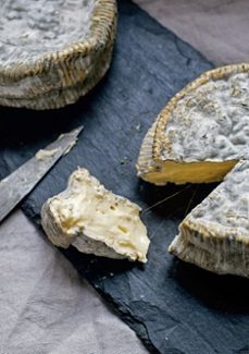el arte de hacer queso-david asher rotsztain-9788412033496