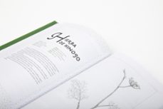 cocinar con hierbas-karin leiz-9788499929699