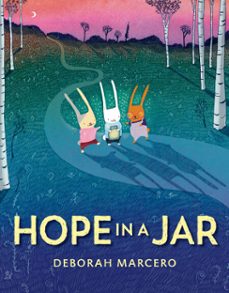 hope in a jar (ebook)-deborah marcero-9780593696705