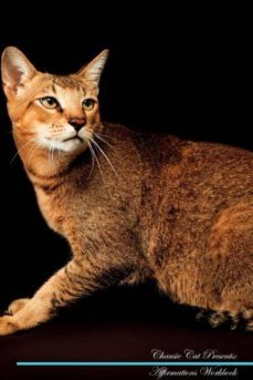 chausie cat affirmations workbook chausie cat presents-9781526968005