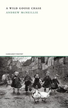 a wild goose chase (ebook)-andrew mcneillie-9781800175105