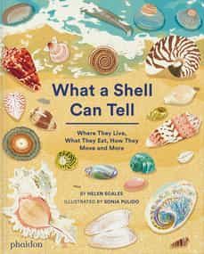what a shell can tell-sonia pulido-helen scales-9781838664305