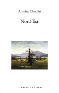 nord-est (ebook)-antoine choplin-9782357071605