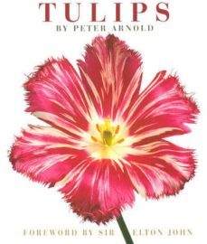 arnold tulips (foreword by elton john)-peter arnold-9783832790905