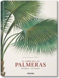 el libro de las palmeras-h. walter lack-9783836517805