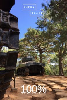 100% (ebook)-upton sinclair-sheba blake-9783962177805