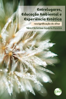 entrelugares, educaço ambiental e experiencia estetica (ebook)-yára christina cesário pereira-9786525164205