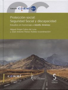 proteccion social: seguridad social y discapacidad-9788415305705