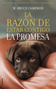la razón de estar contigo 3 - la promesa (ebook)-w. bruce cameron-9788418014505