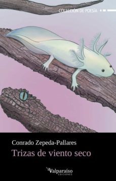 trizas de viento seco-conrado zepeda pallares-9788418694905