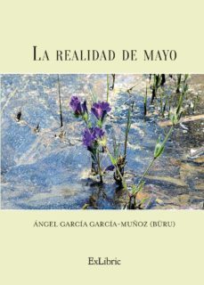 (i.b.d.) la realidad de mayo-angel (buru) garcia garcia muñoz-9788419269805