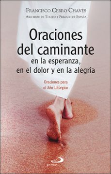 -francisco cerro chaves-9788428569705