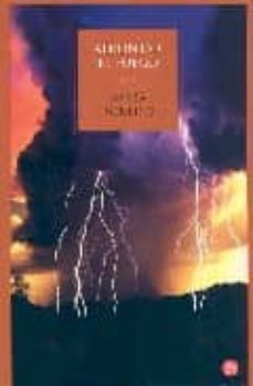 afrontar el fuego (la isla de las tres hermanas 3)-nora roberts-9788466368605