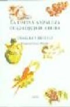 la cocina andaluza guadalquivir arriba: charlas y recetas-9788478981205