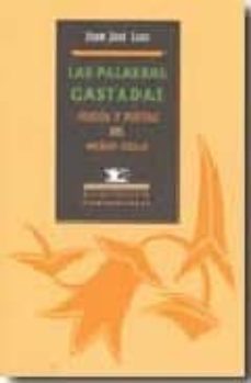las palabras gastadas: poesia y poetas del medio siglo-juan jose lanz rivera-9788484724605