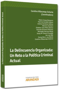 delincuencia organizada: un reto a la politica criminal actual-9788490147405