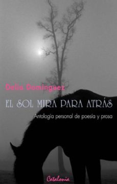 el sol mira para atras (ebook)-delia dominguez-9789563245905