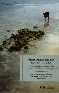 -irene y otra editores depetris chauvin-9789563571905