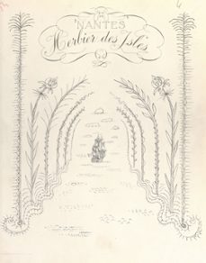nantes, herbier des isles (ebook)-rené auvigne-9791041035205