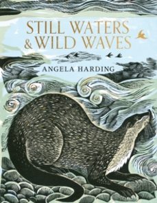 still waters & wild waves-angela harding-9781408726815