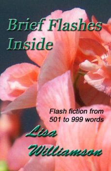 -lisa williamson-9781516379415