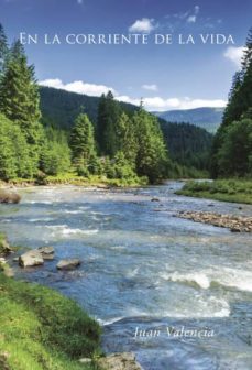 en la corriente de la vida (ebook)-juan valencia alonso-9781635033915