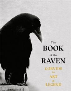 the book of the raven-amgus hyland-9781786277015