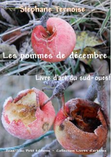 les pommes de decembre (ebook)-stéphane ternoise-9782365413015