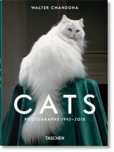 walter chandoha. cats. photographs-susan michals-9783836595315