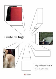 punto de fuga (ebook)-miguel ángel martín herranz-9788411555715