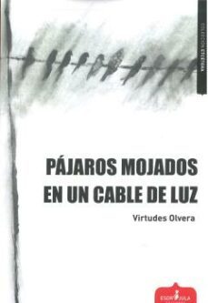pajaros mojados en un cable de luz-9788412518115