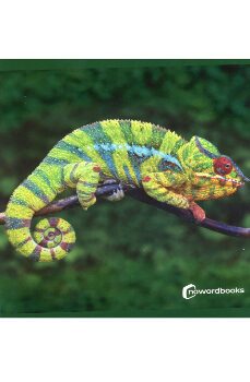 animales de la selva-9788412683615