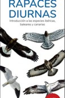 rapaces diurnas (16ª ed.): guias deplegables tundra-victor j. hernandez-9788419624215